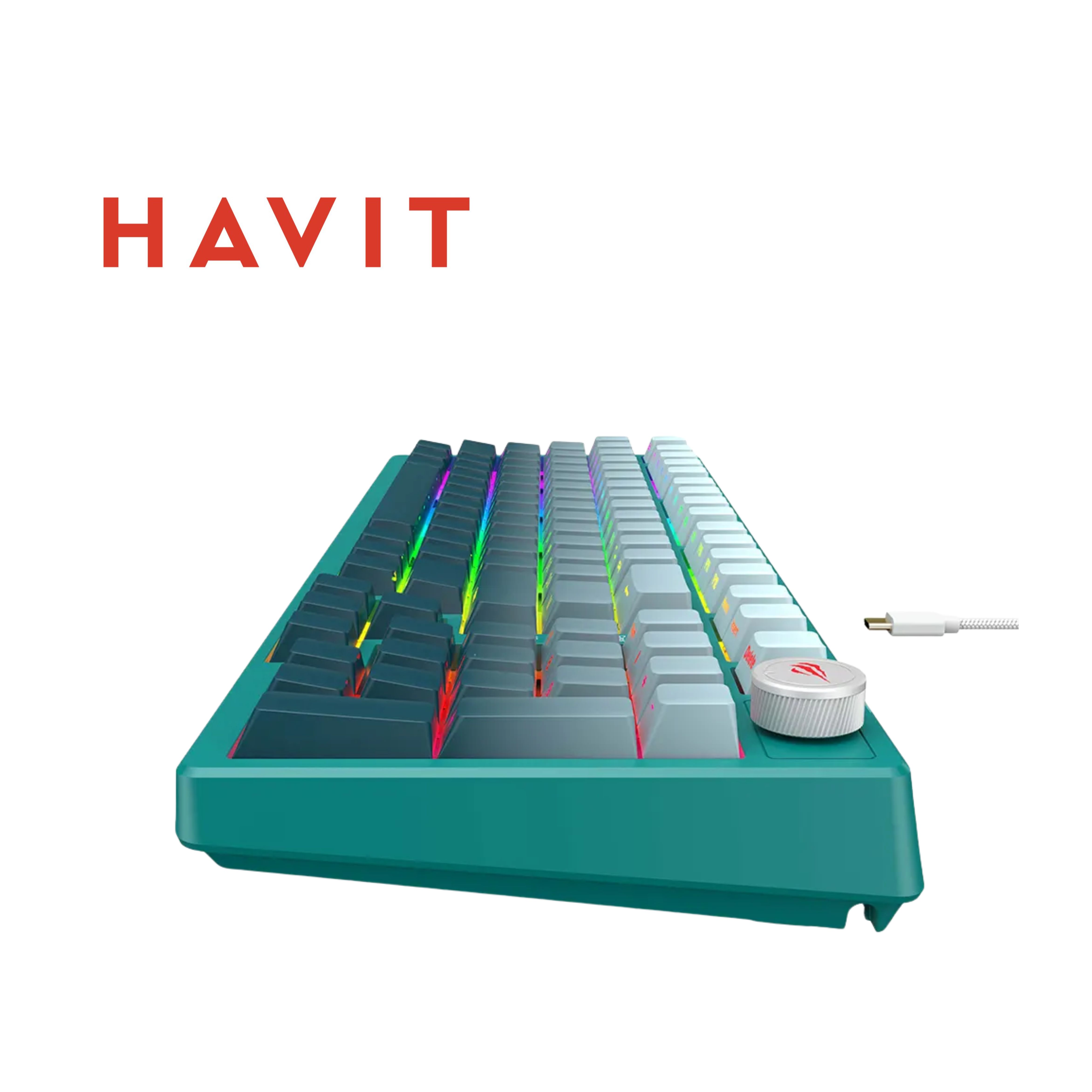HAVIT KB899L Mechanical Gaming Keyboard